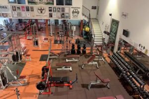 Centro Wellness Sierra de Gata. Moraleja