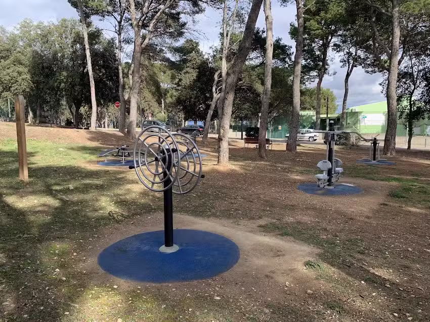 Circuito de actividad física