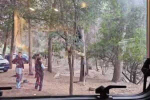 Climbing Log to train and have fun with climbing friends