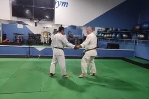 Club Aikido Senshin Dojo – Valencia