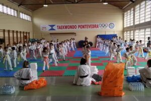 Club de taekwondo Mace Sport