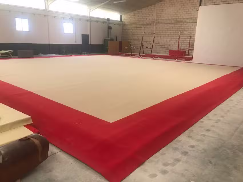 Club Gimn&agrave;stica Art&iacute;stica El Pastoret