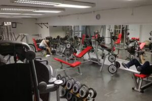 Club Natació Reus Ploms