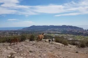 Club Privado Sierra Cortina Resort