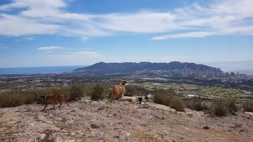 Club Privado Sierra Cortina Resort