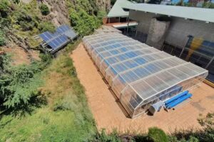 Complejo Deportivo Municipal