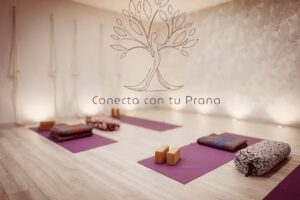 Conecta con tu Prana – Yoga en Salamanca (Villamayor)