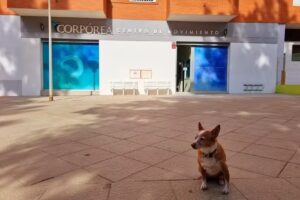 Corp&oacute;rea Centro de Movimiento