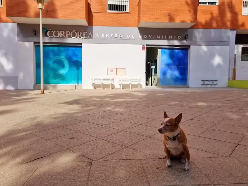 Corp&oacute;rea Centro de Movimiento