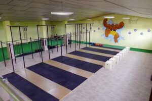 Cross Training Rock Box