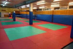 Danjeong Dojang. Escuela de Taekwondo, Hapkido, Defensa Personal Femenina, Boxeo y Pole Dance