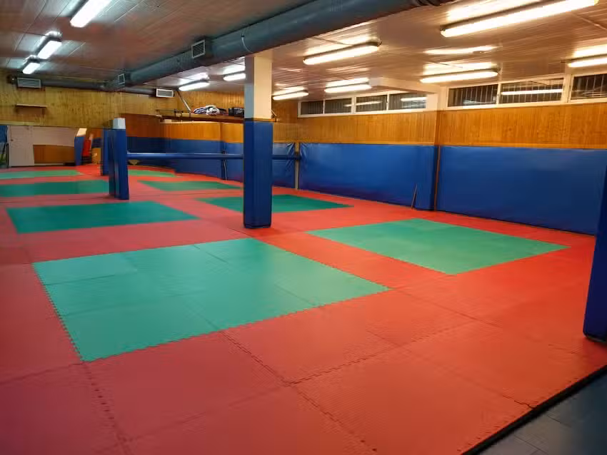 Danjeong Dojang. Escuela de Taekwondo, Hapkido, Defensa Personal Femenina, Boxeo y Pole Dance