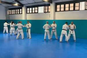 Dinamis Gimnasio Polideportivo