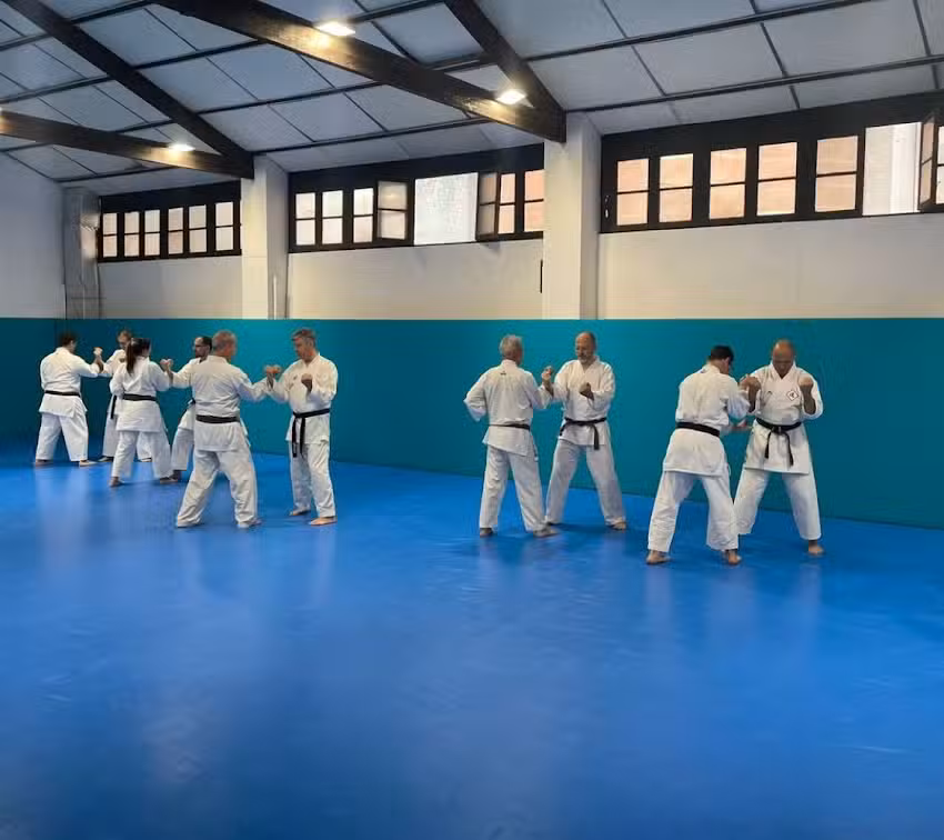 Dinamis Gimnasio Polideportivo