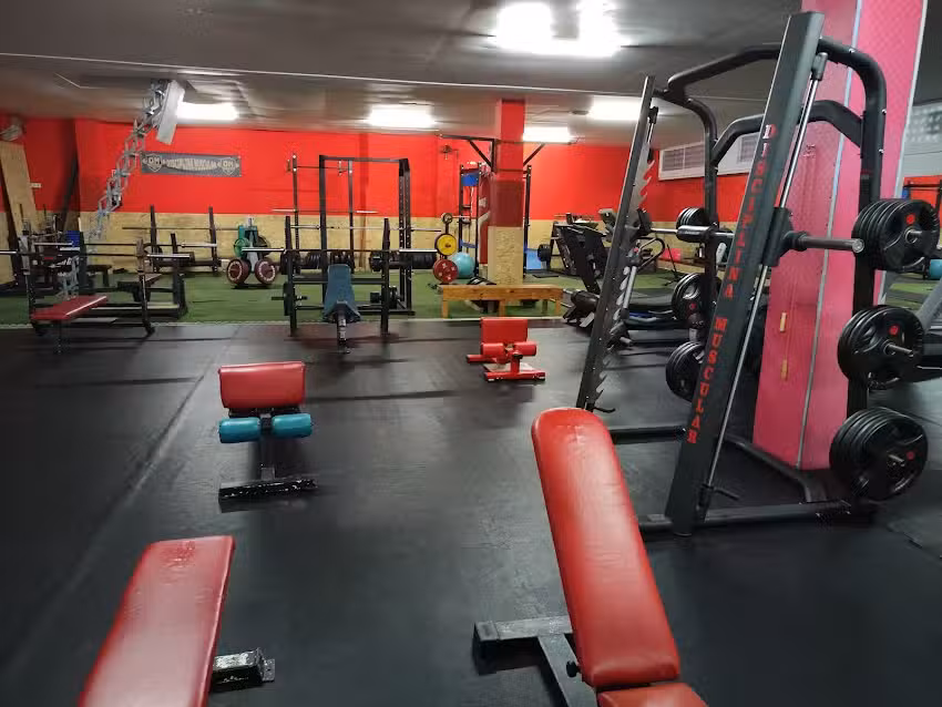 Disciplina Muscular