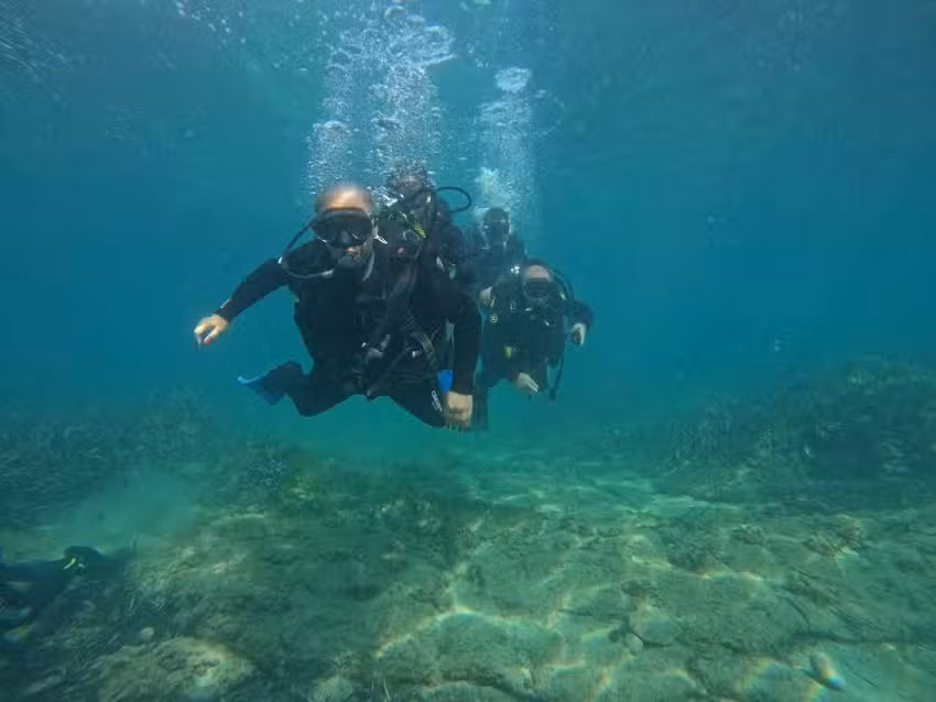 Dive Academy Santa Pola, bucear en Tabarca