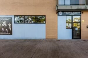 DOKSSURI DOJANG® Escuela de Artes Marciales