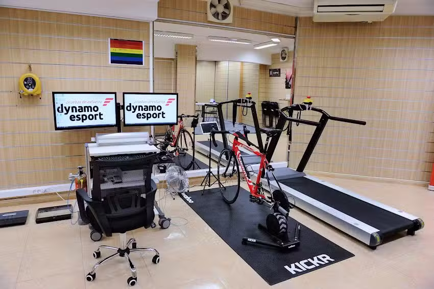 Dynamo Esport