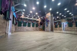 El Árbol del Yoga (Método Iyengar)