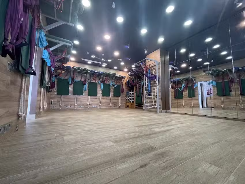 El Árbol del Yoga (Método Iyengar)