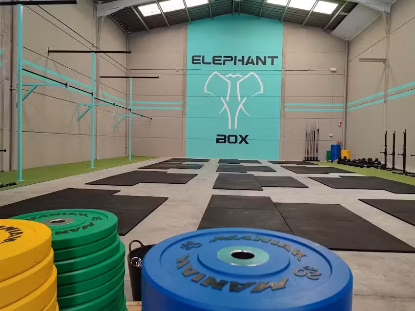 Elephant Box