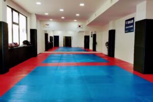 Escola de Taekwondo TOHAM