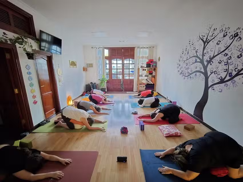Escuela Anitcha Yoga
