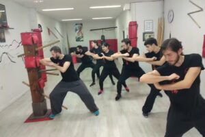 Escuela Luo Fu Shan &ndash; Kung Fu, Artes Marciales, Qigong. Gimnasio Salamanca