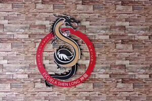 ESCUELA SHEN LONG