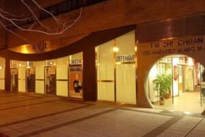 ESCUELA WUJI Artes Marciales y Bienestar