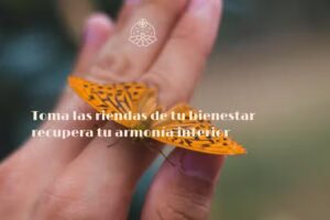 Espai Momentum – Carmina Perez Espi