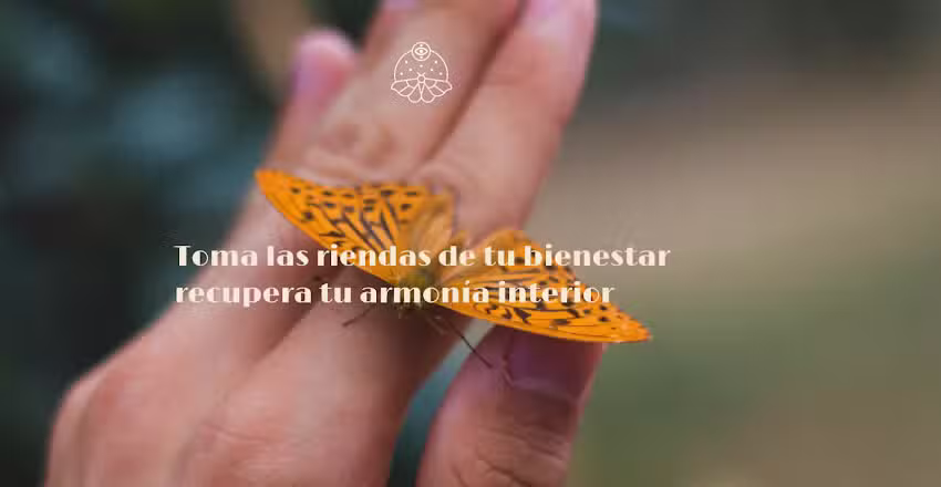 Espai Momentum – Carmina Perez Espi