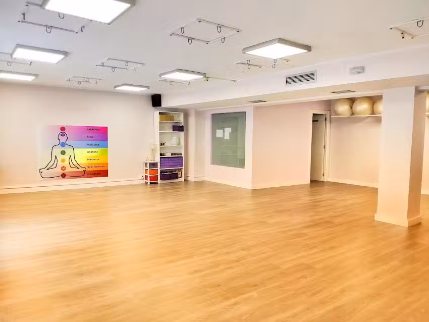Estudio de AeroYoga Zaragoza – Sala de actividades La Vida en Verde