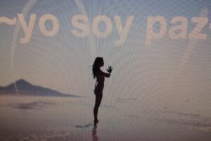 Estudio de pilates Nexus