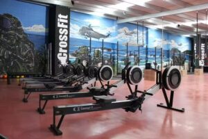 Evofit Box L61 Naron