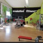 Evolution Fitness