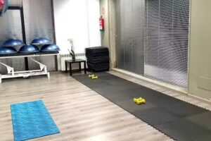 Fisioterapeuta Alba Carneiro