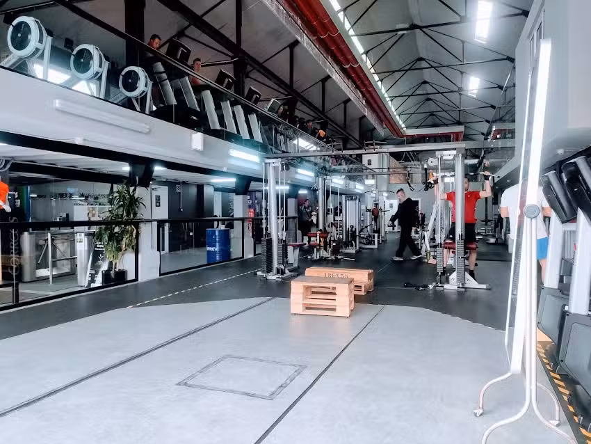 Fisioterapia castro sport (ZEM CASTRO URDIALES)