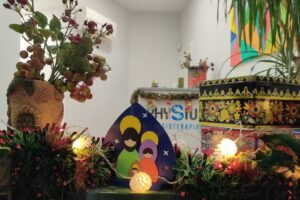 Fisioterapia Physius