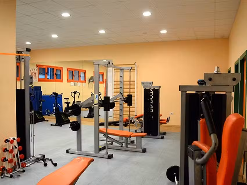 Fisioterapia Son Saúde