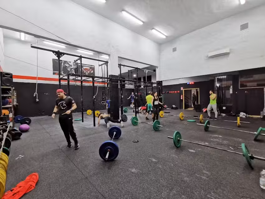 FIT5 Albir