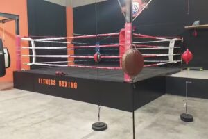 FITNESS BOXING