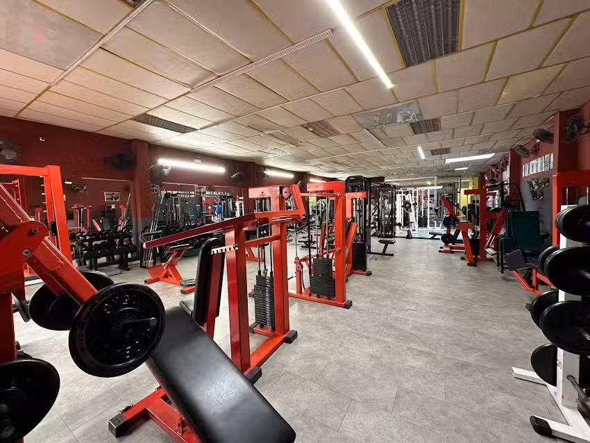 Fitness Company