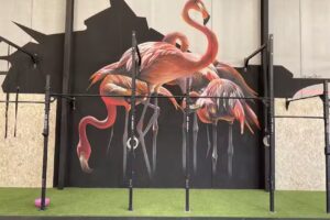 Flamingo CROSSFIT Roseus