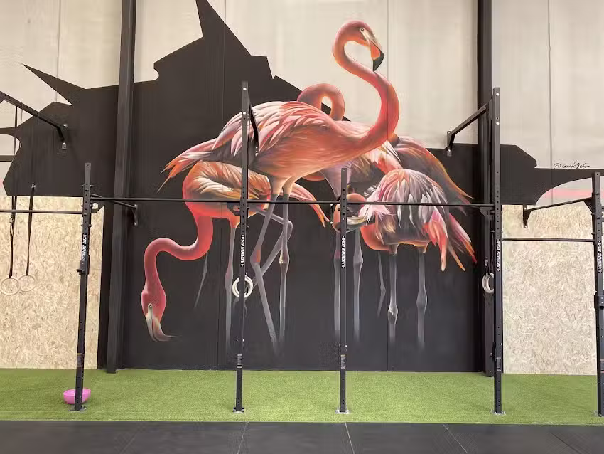 Flamingo CROSSFIT Roseus