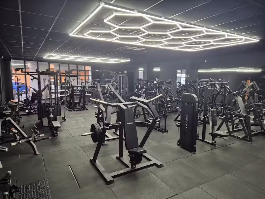 For&ccedil;a de S&oacute;ller &ndash; Gym & Strength Training