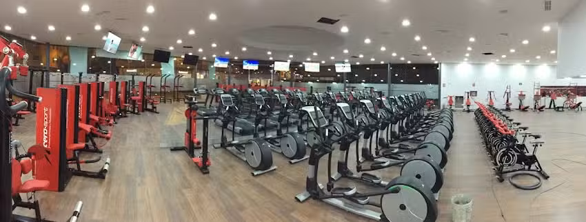 Forma Sport by VivaGym Torrent