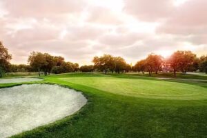 Forus Majadahonda Las Rejas