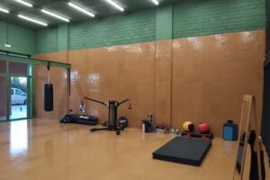 Functional Mechanics