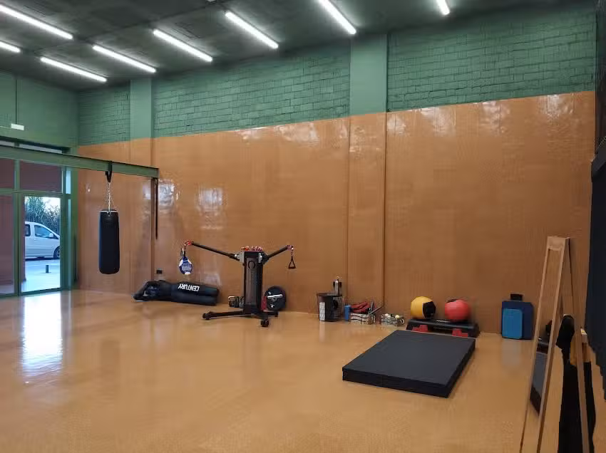 Functional Mechanics